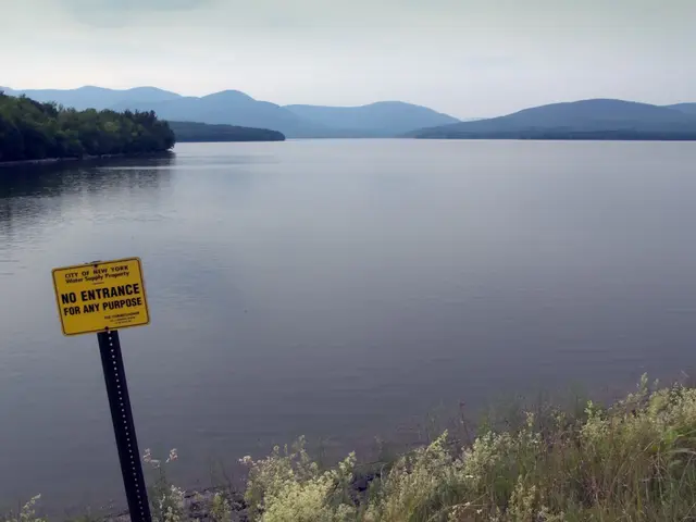 Si suggerisce alle persone che praticano il nuoto di evitare il Lago Michigan a causa delle...