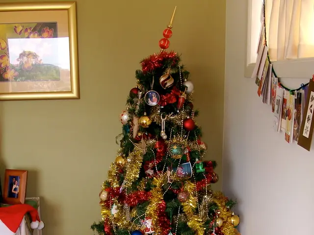 Il commerciante di Natale John Lewis rivela la collezione per le vacanze del 2025 - Esplora i 4...