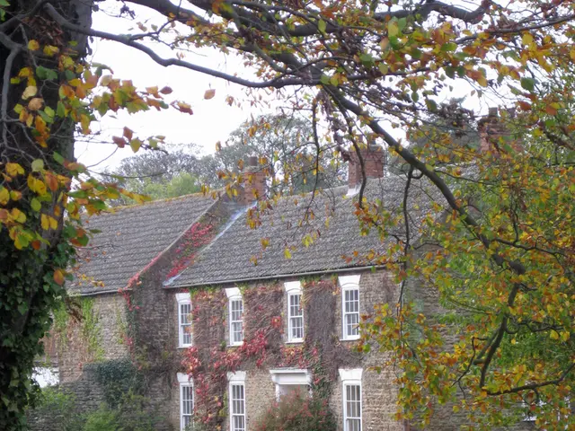 Guida per l'umidità adeguata della casa: livelli perfetti per ogni stagione, stanza e pianta indoor