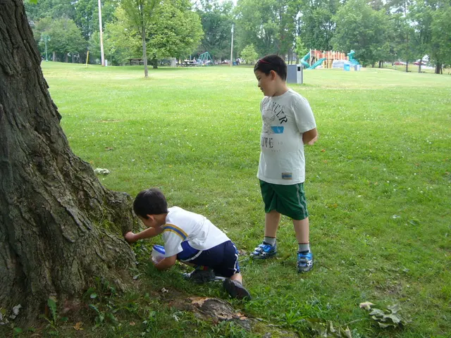 i bambini raramente si dedicano alle attività all'aperto
