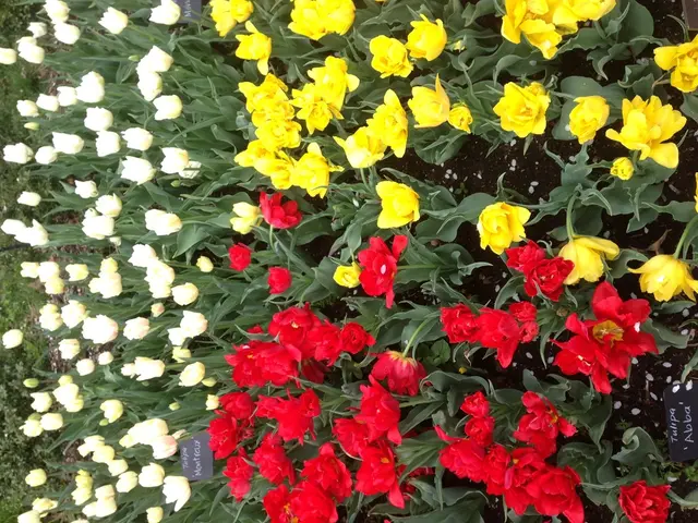 Una Selezione di 75 Nomigliori per Aziende di Fiori che Adorerai