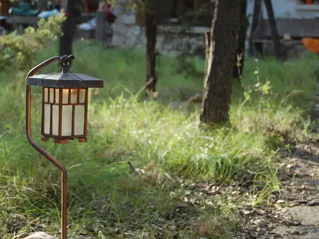 Risparmia sui Costi: Priorità per Coltivatori di Budget