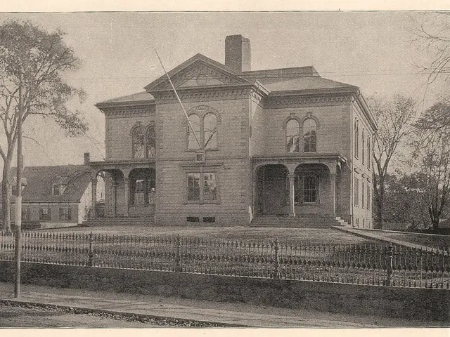 Strategie per Eliminare i Topi Muschi dalla Proprietà: Sei Tecniche Provenienti