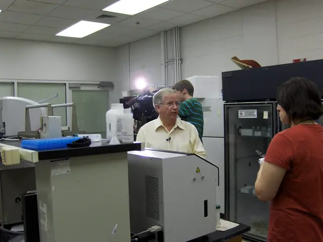 Analizzando la Struttura dei Costi di Remaker AI