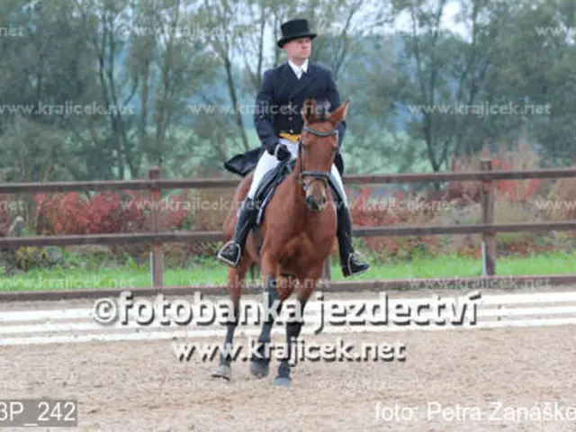 Chiamata Notturna: una conversazione con la paralimpica Amelia White sull'ottenimento degli...