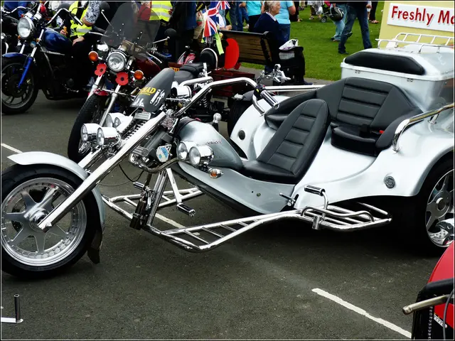 Normativa attuativa da stabilire della Commissione