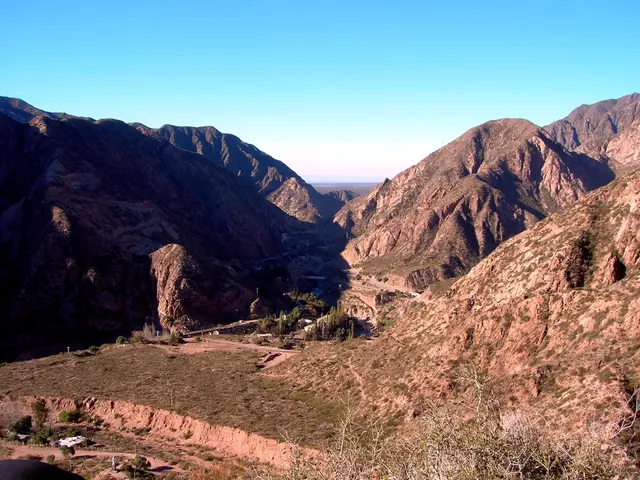 Casi in aumento di Febbre del Vallo documentati nelle regioni della California centrale