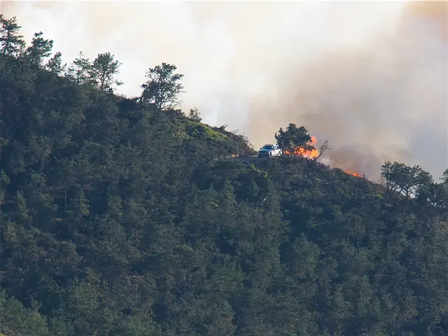 Incendio devasta la struttura dell'insediamento del Gold Rush cinese, Chinese Camp