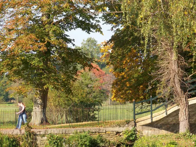 Scoprire i Percorsi Escursionistici in touta America: Un Overview dei sentieri Naturali degli Stati...