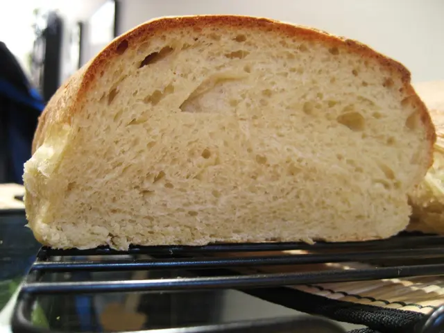 Forno per cucinare alimentato da energia solare che abbraccia un'estetica retrò per il campeggio.