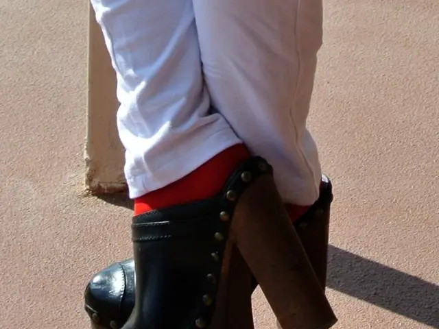 Influenza della Riflessologia Plantare sull'Aumento della Memoria: Voorhees il Percorso per il...