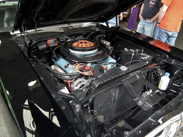 Due individui perdono la vita in un incidente nel Baden-Württemberg