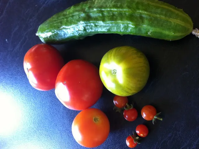 Progettare un Giardino Permacultura Mangimstrice