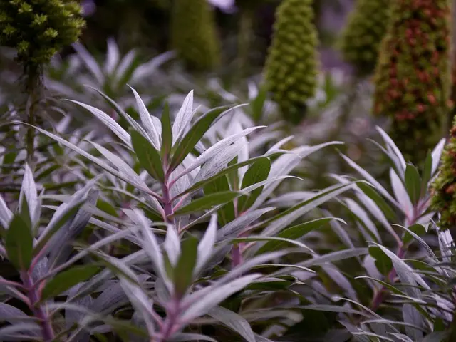 Guida per la selezione di piante adatte per il tuo giardino di permacultura