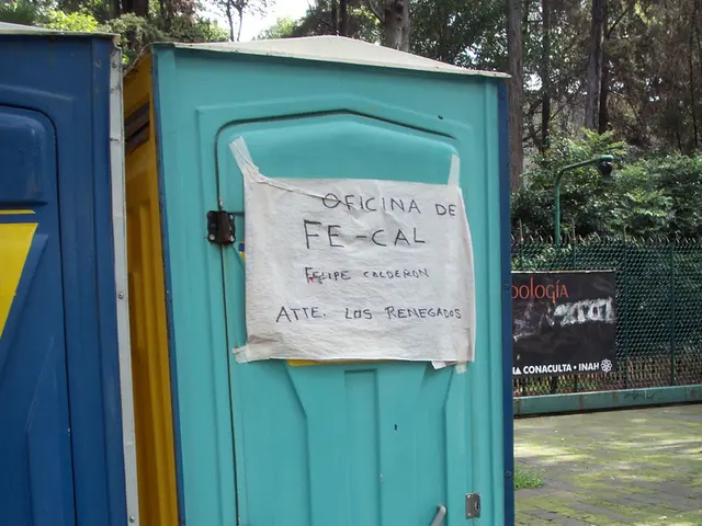 In questa piccola abitazione di 350 piedi quadrati, ho scoperto intuizioni sulla vita sufficiente.