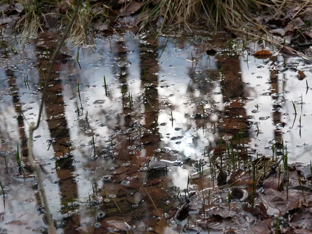Le gocce d'acqua potrebbero aver innescato l'origine della vita sulla Terra attraverso piccole...