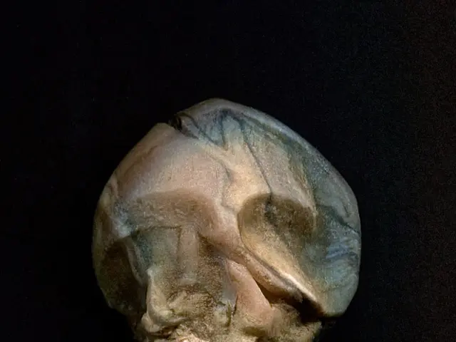 In mezzo al tumulto, l'evento di MoMA del Consiglio delle Arti Nere affascina con la sua magnifica...