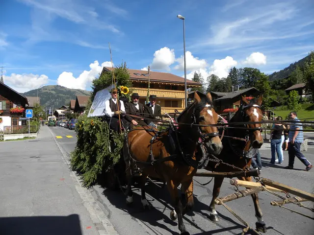 Veicolo non marchiato gira indisturbato a Central Park, senza conducente alle redini
