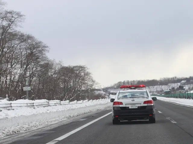 Scelta dell častotermometro alternativo corretto: fattori chiave da considerare