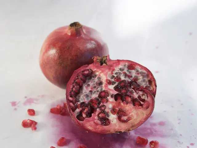 Indagine sulla sfumatura di melograni.