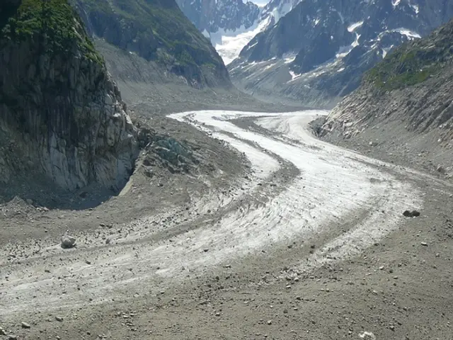 Riassunto dell'Evento: la Costruzione dell'Ecosistema delle Startup Africano Summit 2024 Si Avvia...