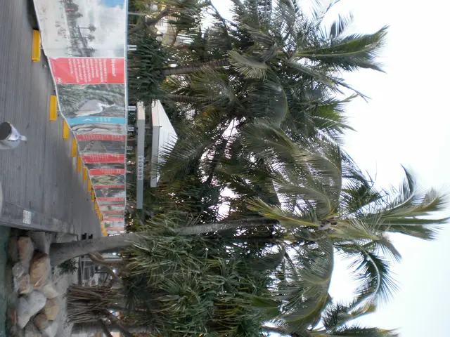 Spostamenti della Terra Rara Registrati dai Satelliti della NASA nella Geologia del Kazakistan