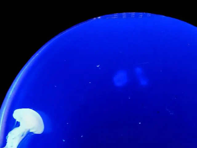 Scoperti negli abissi oceanici: Organismi antichi che risalgono a 100 milioni di anni fa