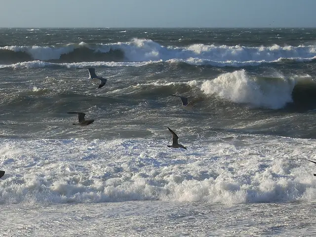 Temporali violenti e forti venti flagellano il Mar Nero e la regione dell'Anatolia orientale della...