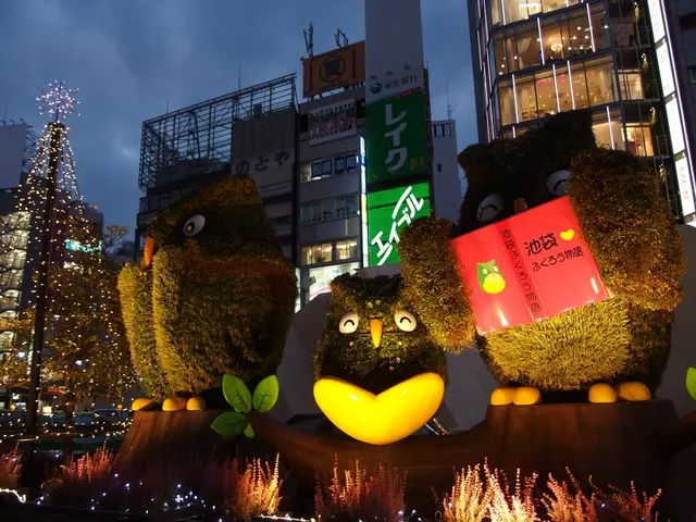 Il Magico dell'Avvento di Rödermark ti aspetta: Sperimenta il mercato di Natale affascinante