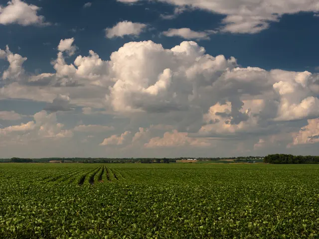 Il Regno Unito introduce il più grande fornitore di competenze green per agevolare gli...