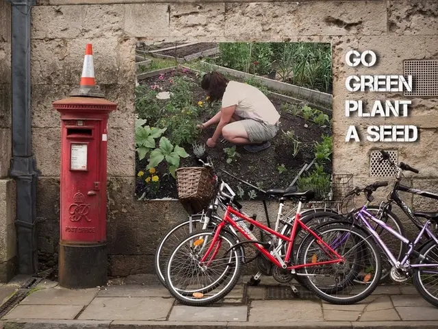 Prima dell'incidente, era sull'orlo dell'esaurimento.