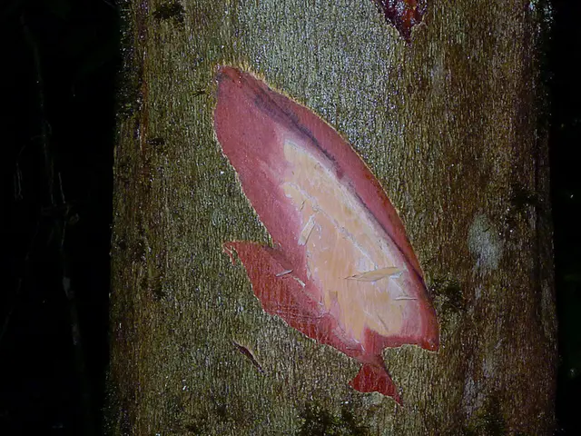 Scienziati Mettono al Scenario Cellule su Misura per Metodi di Ricerca e Test Innovativi