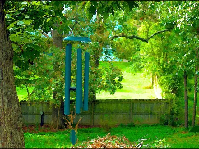 Determinazione dell'età dell'albero di Robin Hood illegalmente abbattuto