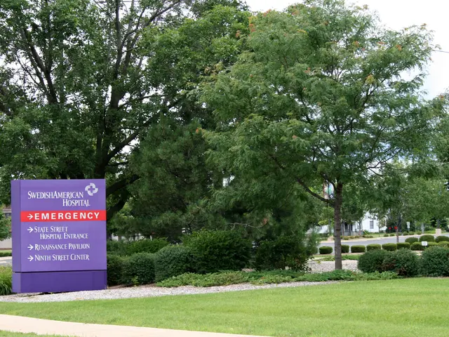 Secondo Moran, Aemet avrebbe fornito 'dettagli sulla posizione' sui movimenti del Dan ai Servizi di...