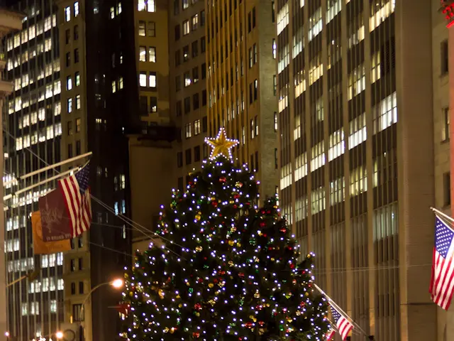 Spettacolo di Natale in Città, Acceso dall'Entusiasmo di un Giovane a Jersey