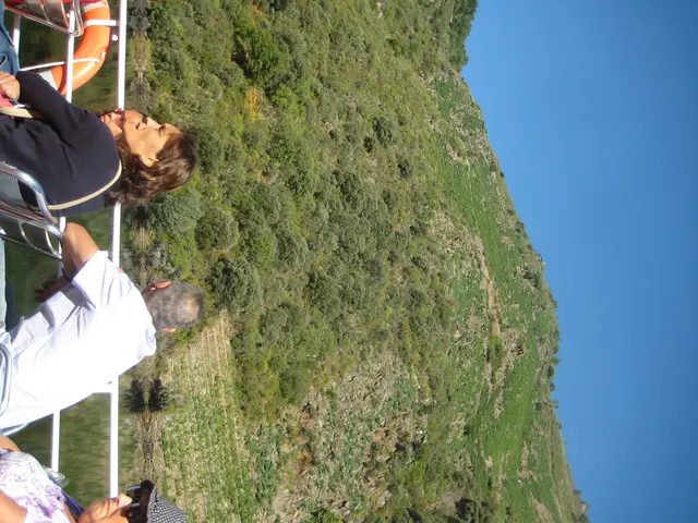 Il turismo medico decolla a Seoul, con oltre 1 milione di visitatori che cercano servizi sanitari...