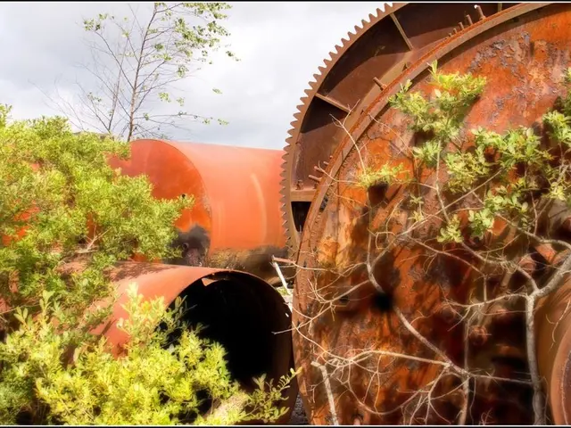 Alghe fioriscono lungo la costa atlantica degli Stati Uniti nell'agosto 2015, attribuite a un eccesso di nutrienti dal deflusso.