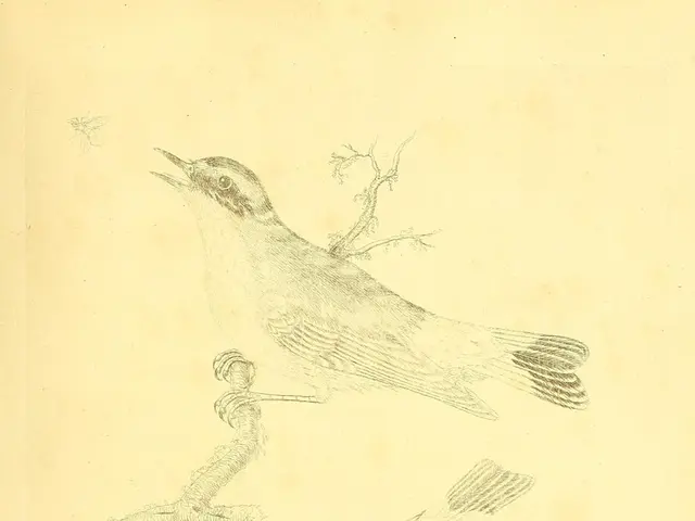 Studio dell'Università del Massachusetts Amherst identifica l'impatto della dopamina...