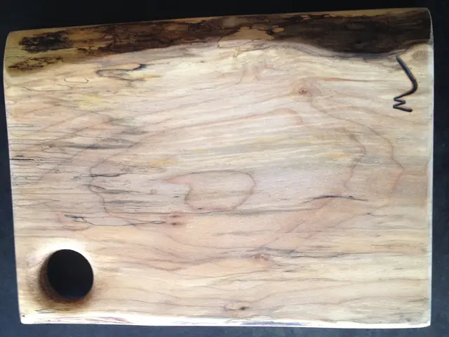 Rinnovamento dei Pavimenti in Legno: Consigli degli Specialisti per Riparare e Rivitalizzare