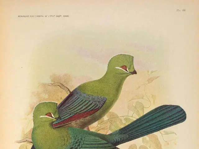 CD Projekt Red pianifica di incorporare concetti dall'ultimo romanzo di Witcher in The Witcher 4,...