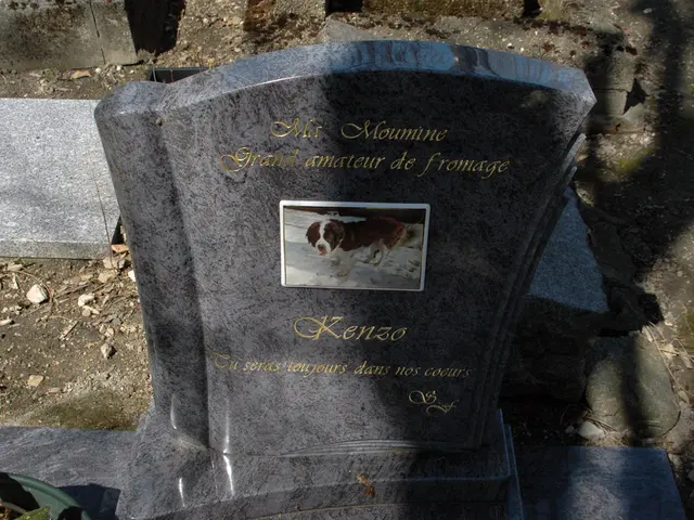 Esplorando iENSIONnell首先death and Dying da una prospettiva scientifica