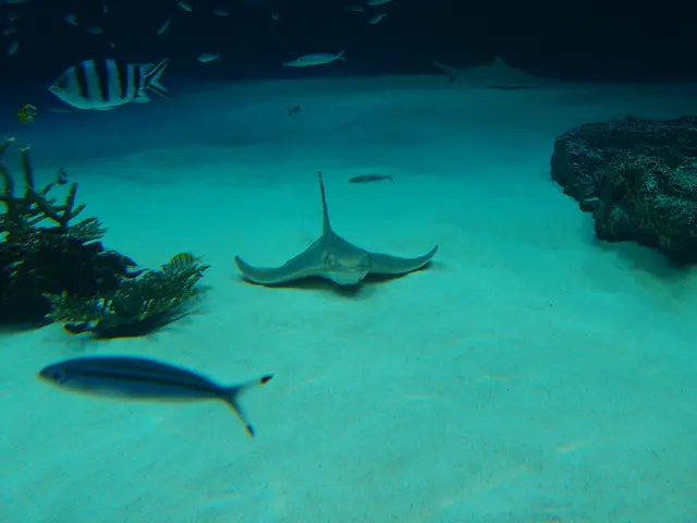 La desalinizzazione non deve danneggiare l'ambiente