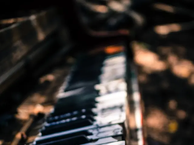 Top 20 composizioni stellari della musica classica, ispirate ai miracoli della natura e ai giardini...