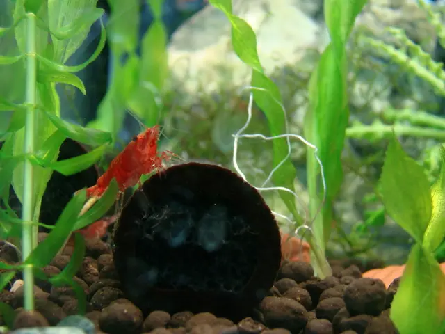 Ricercatori creano con successo un nuovo organismo vita utilizzando solo 57 progetti genetiche