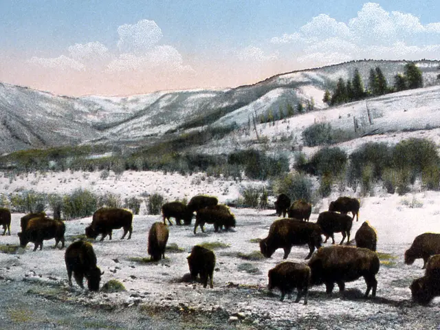 Artisti in Colorado esibiscono la natura all'interno della mostra Loveland