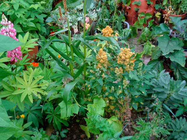 Esplora i meravigliosi giardini botanici.