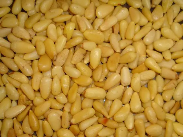 Consigli per Potassio e Fosforo nell'Agricoltura delle Culture