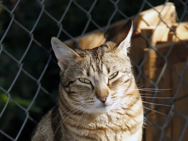 Josef Oster sottolinea l'importante funzione del rifugio che gestisce.