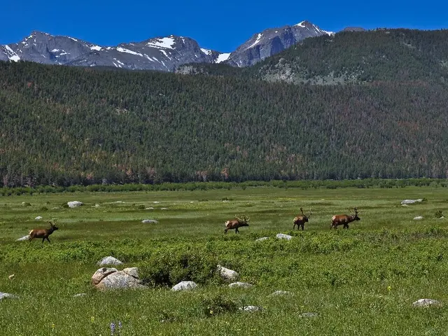 Evento Catastrofico Anticoha Arso la Terra e Sterminato la Maggioranza delle Specie Esistenti