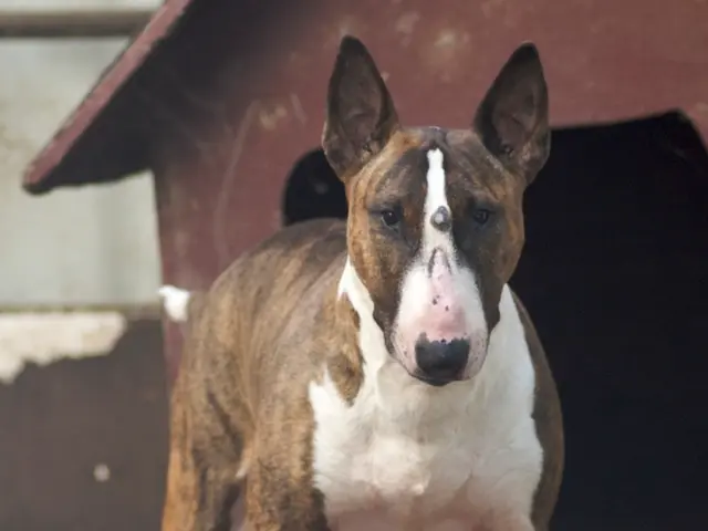 Consigli per la TV del venerdì